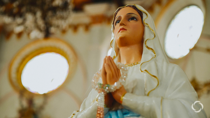 Devoti Di Maria Vivi Oggi 26 Novembre La Spiritualita Di Medjugorje E Chiedi Una Grazia Alla Madonna